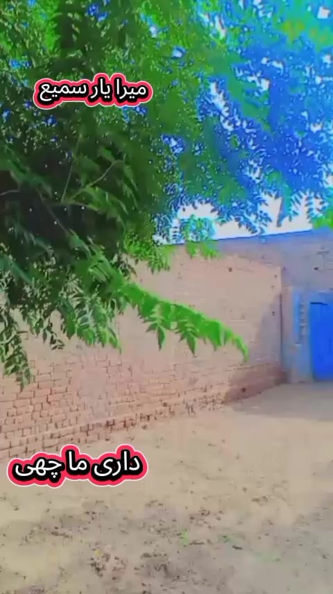 @حبدار علی ساہیوال الا