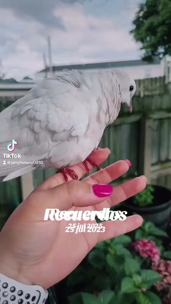 @Janymelany