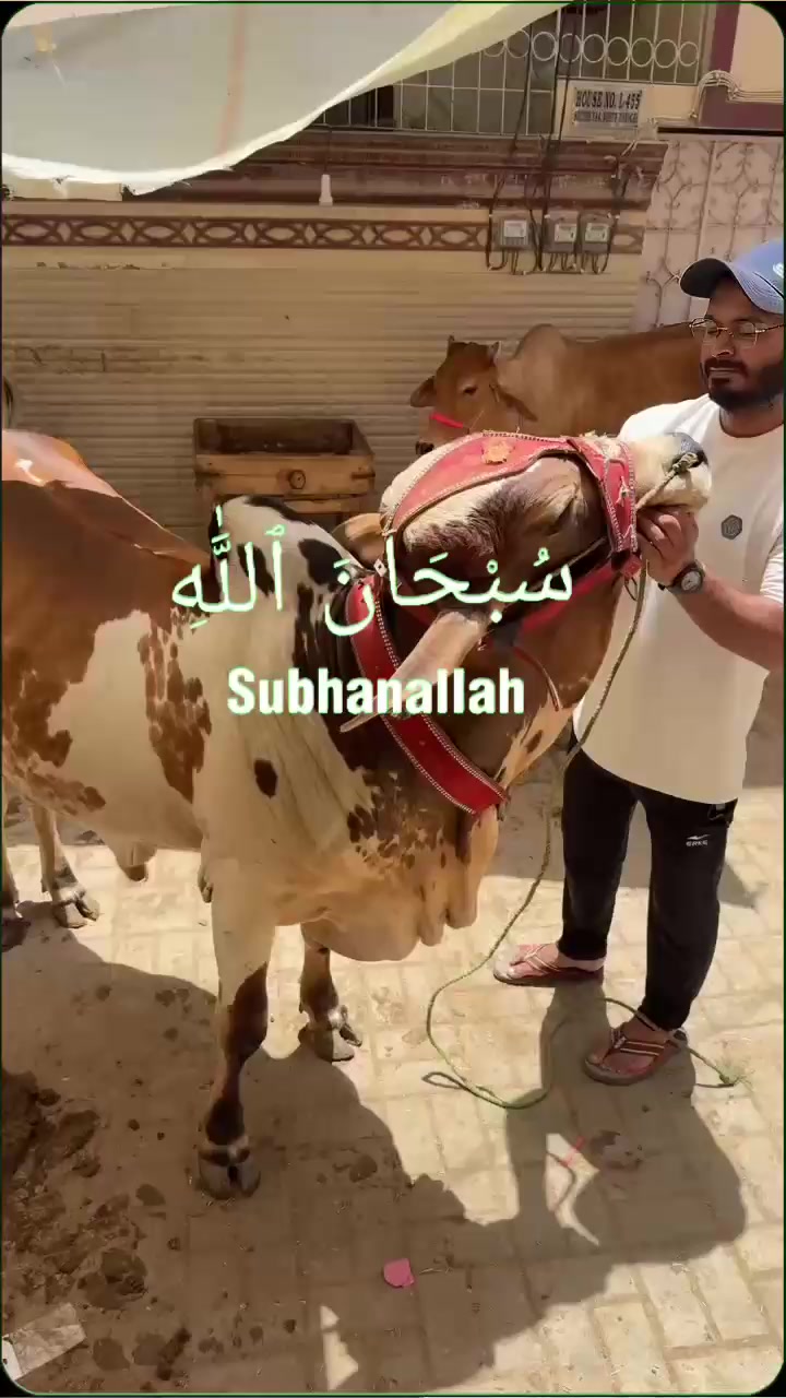 @Faisal Siraj