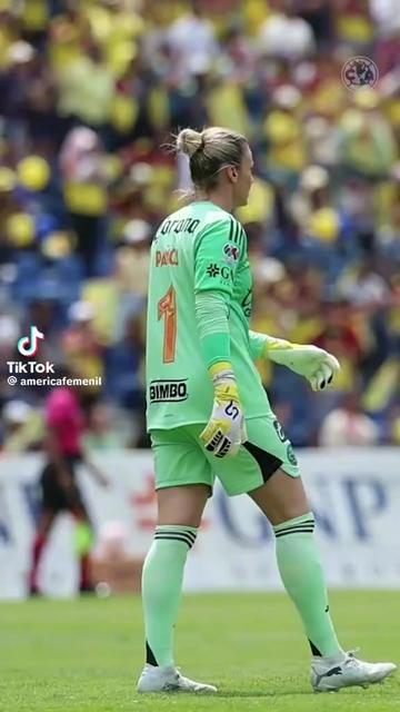 @Manuel Tovar 🇲🇽