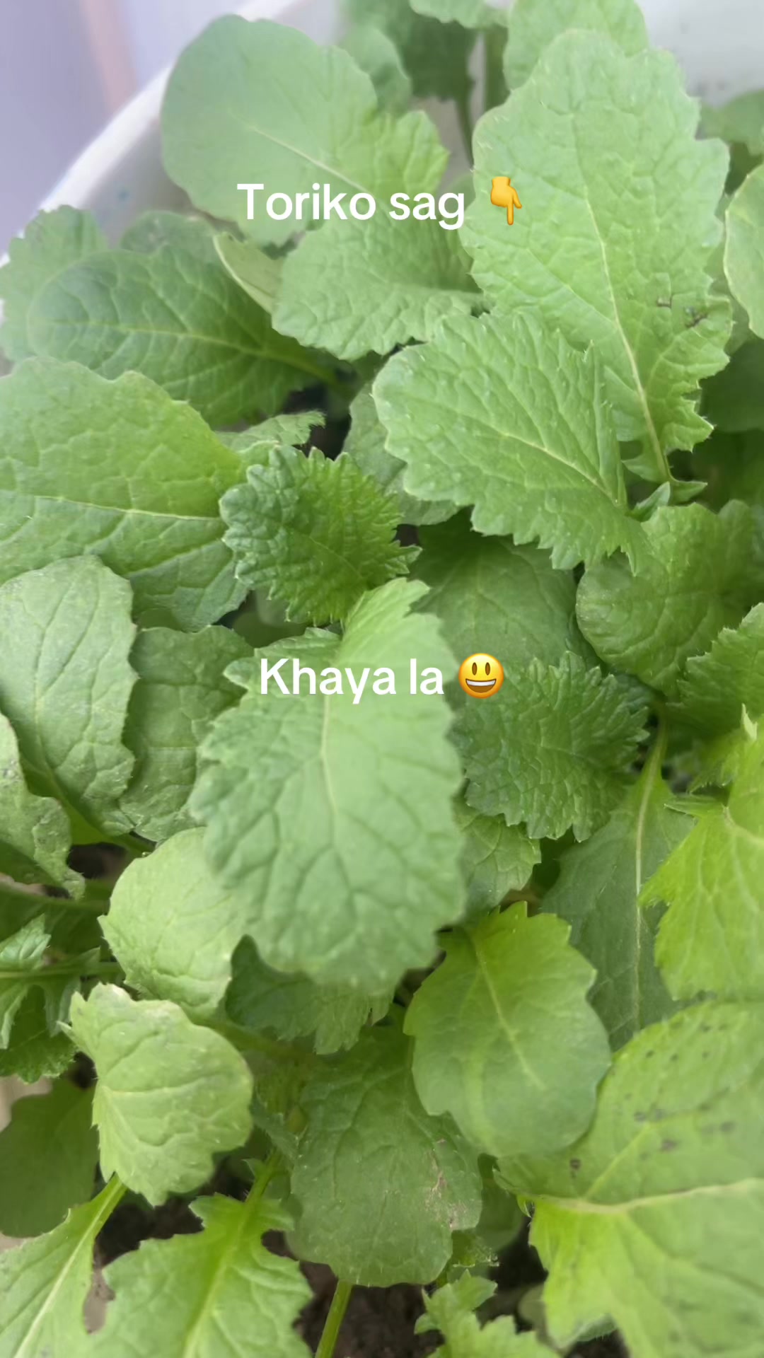 @Niru Thapa