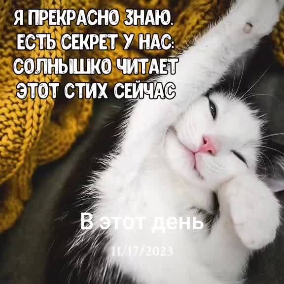 @SHiN_XL🐾