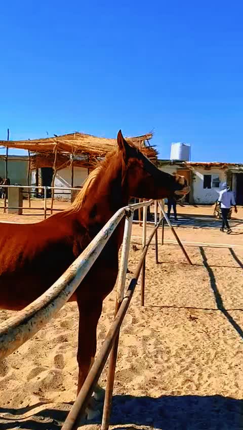 @monalisa_stable