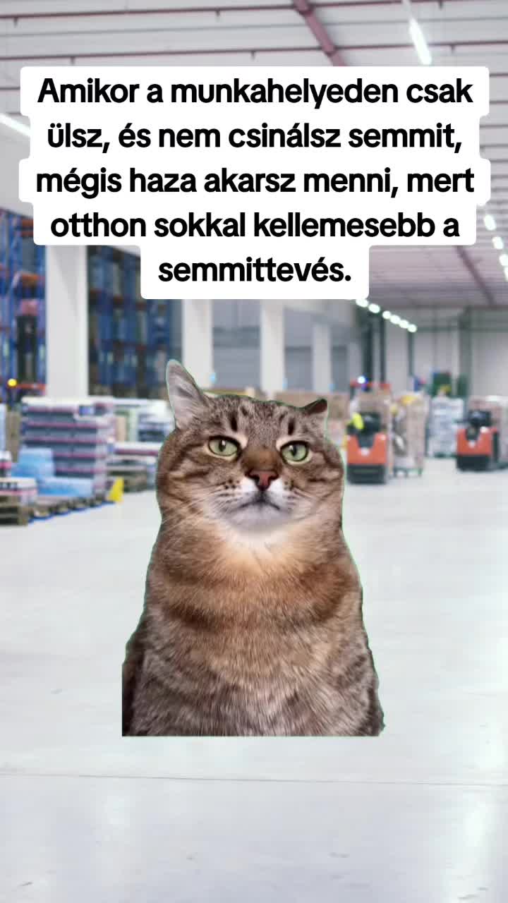 @Oszi nem Veszi