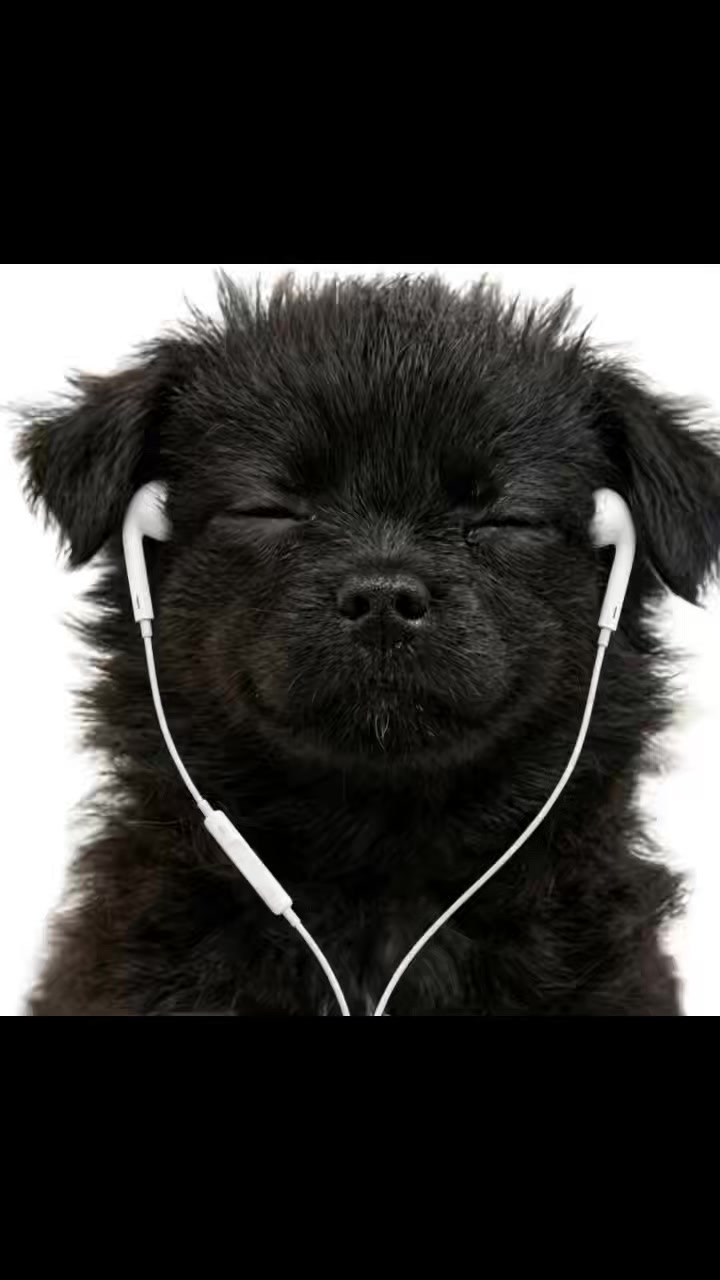@🤯Óscar🤯