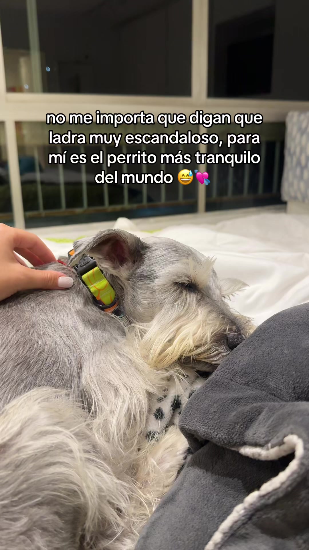 @vidadlanky