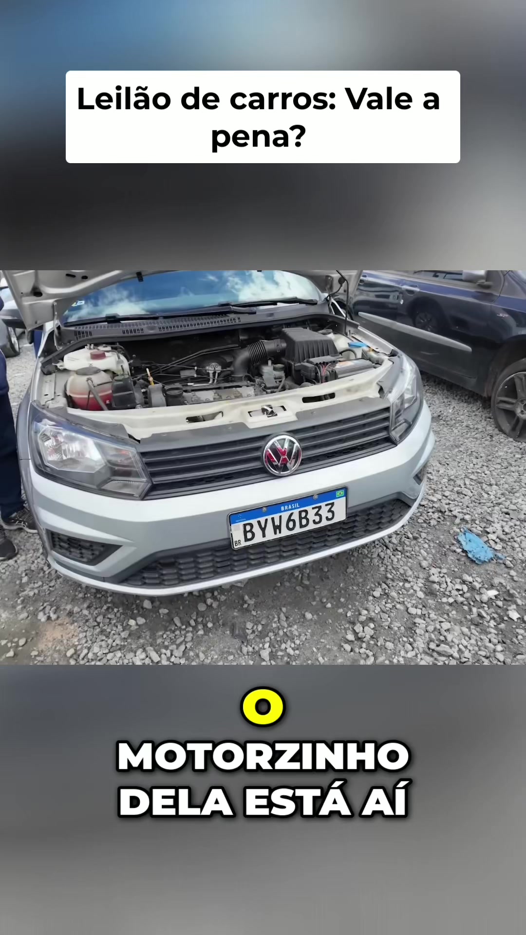 @Cortes tudo sobre Leilao