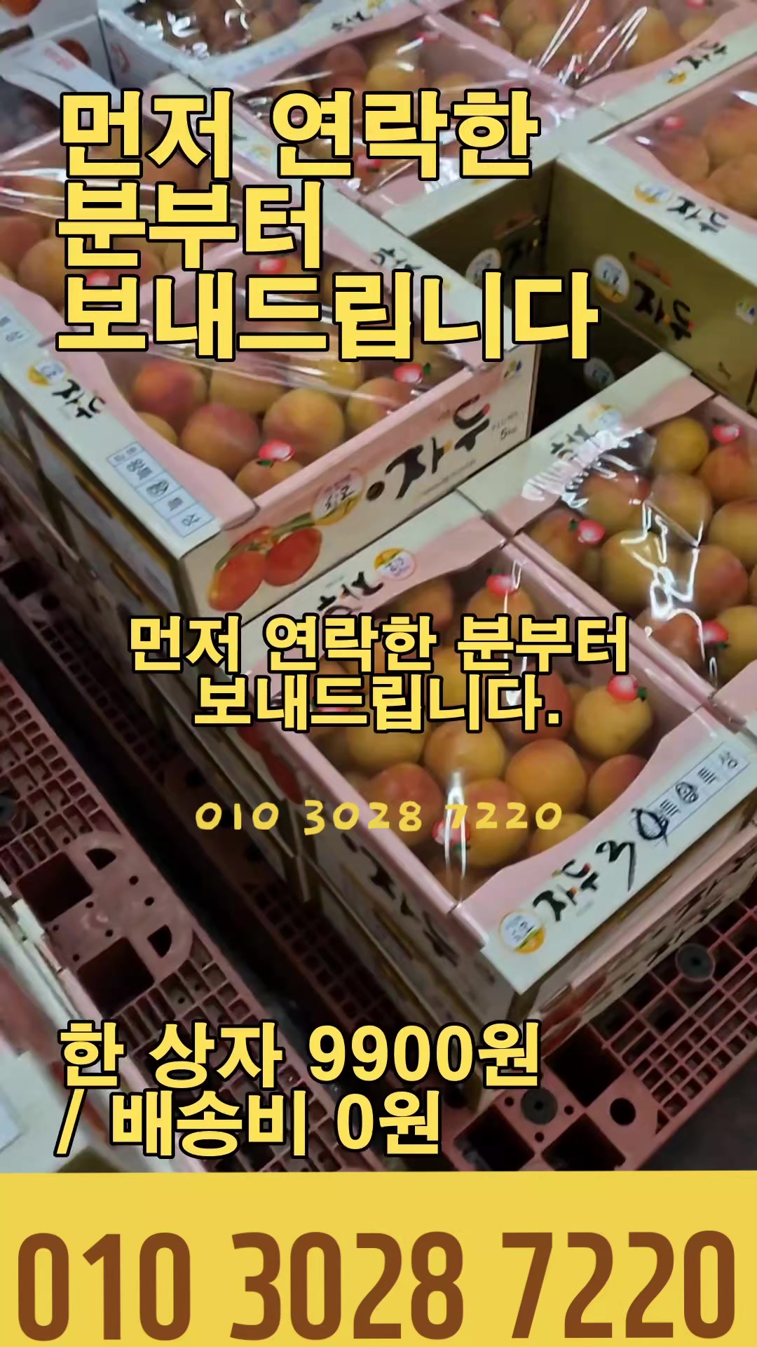 @새콤과일장터