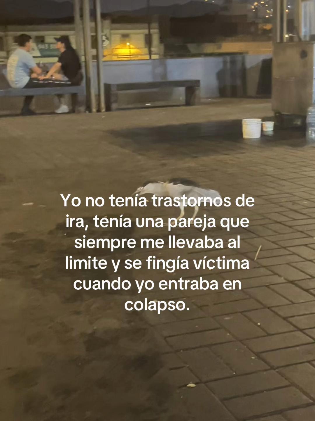 @Music🎙️