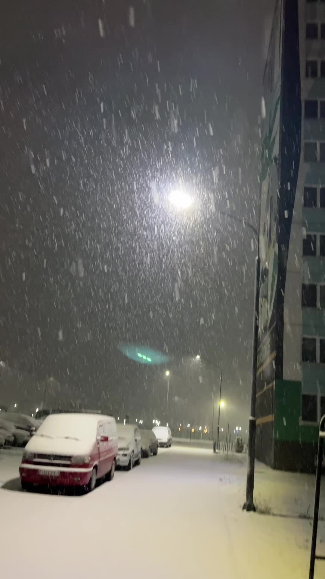 @мохито