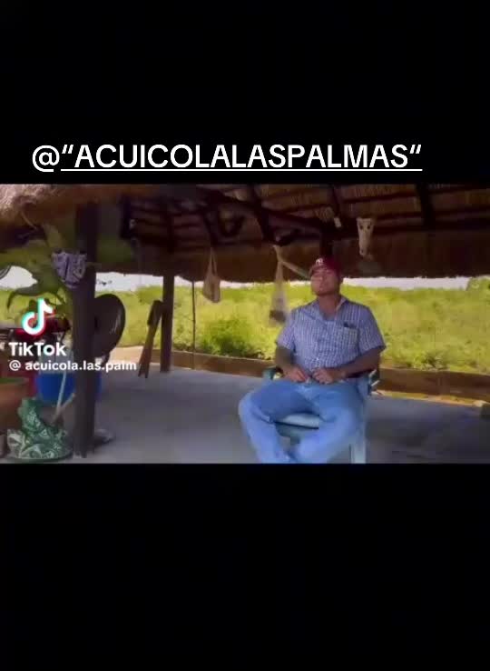 @Citlaly pardo@