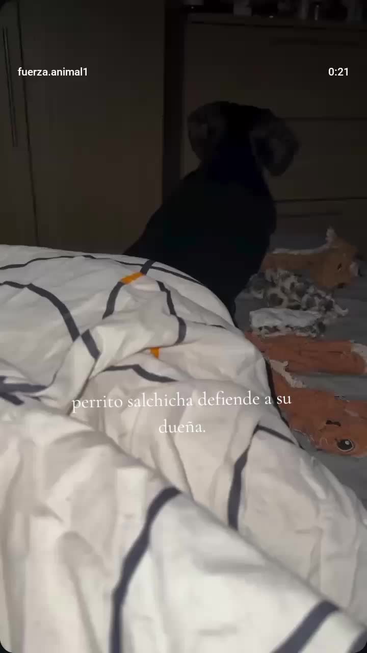 @𝐋𝐚𝐮𝐫𝐚 𝐀𝐫𝐯𝐢𝐳𝐮