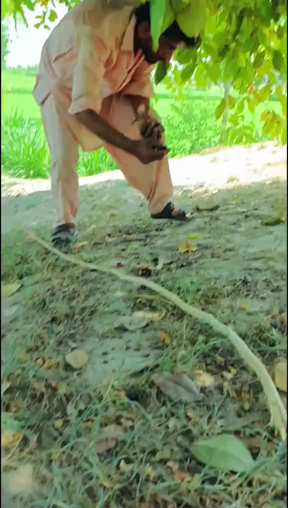 @mazhar Iqbal layyah wal