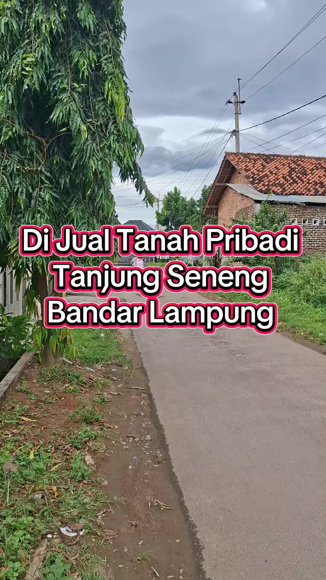 @Tanah pribadi Lampung