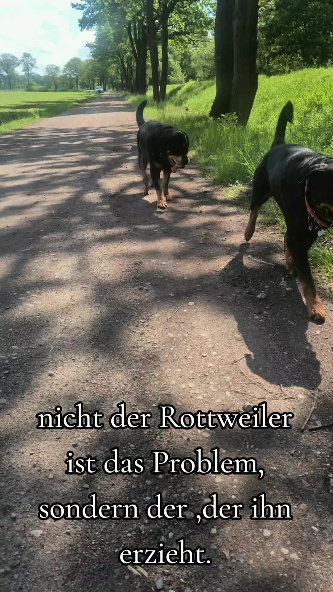 @Rottweilerlove❤️