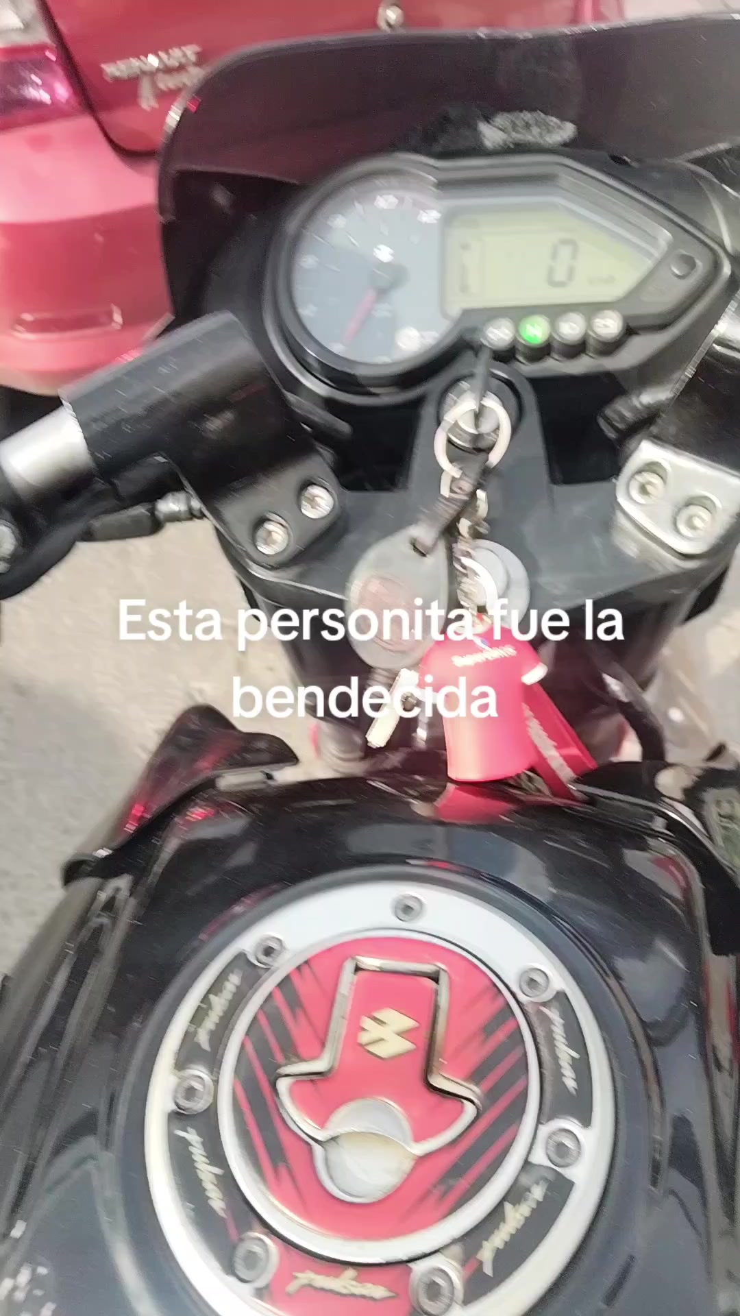 @el turpial del valle HM