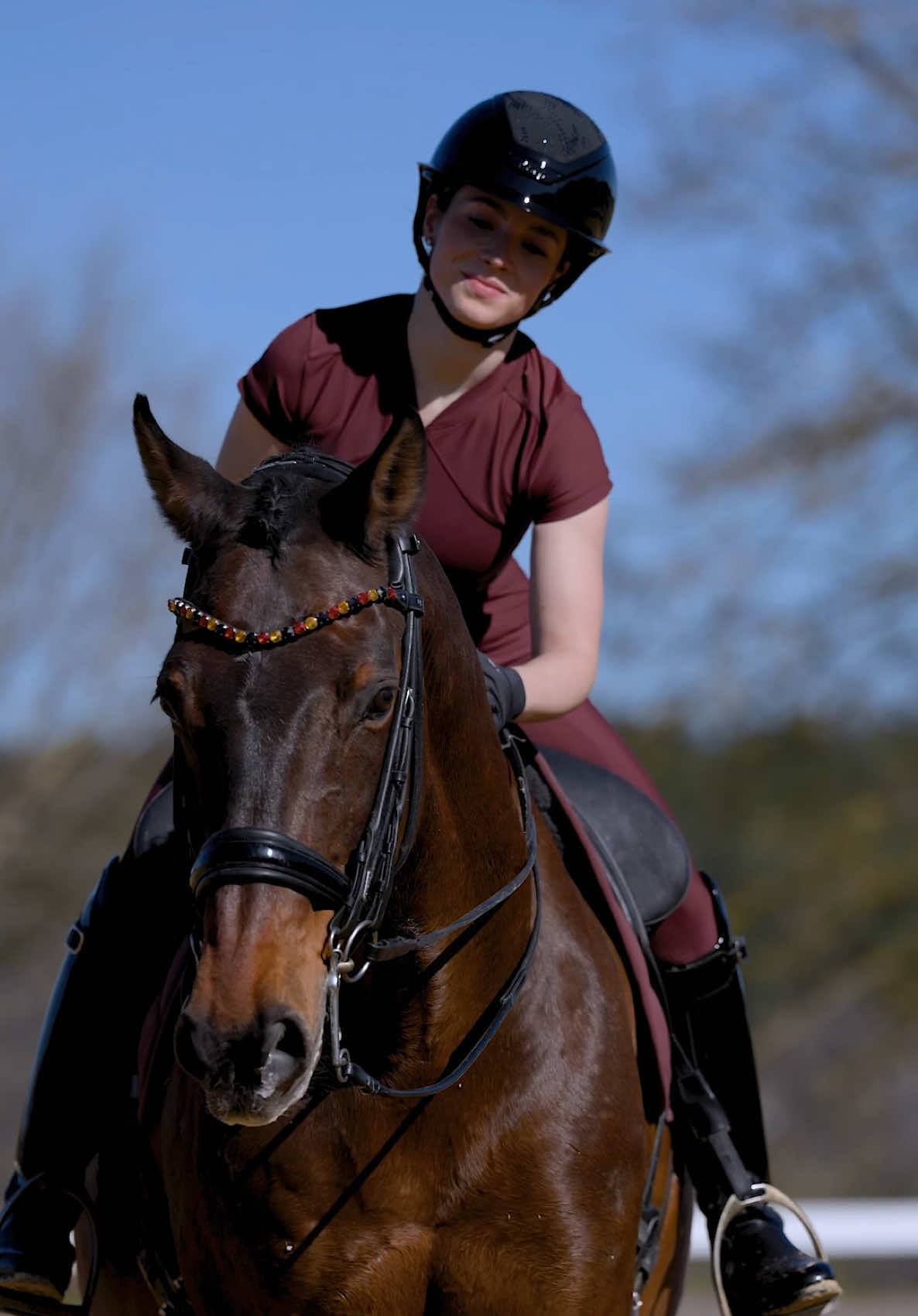@Maximilian Equestrian