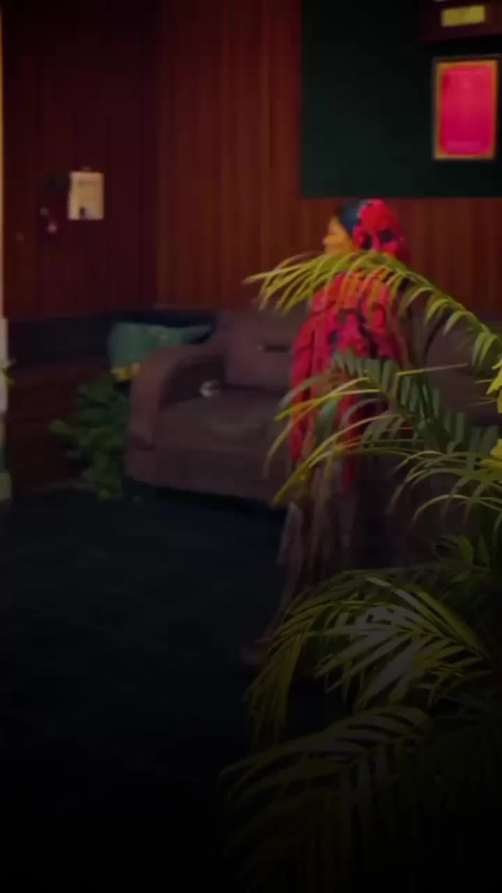 @𝗠𝗔𝗔