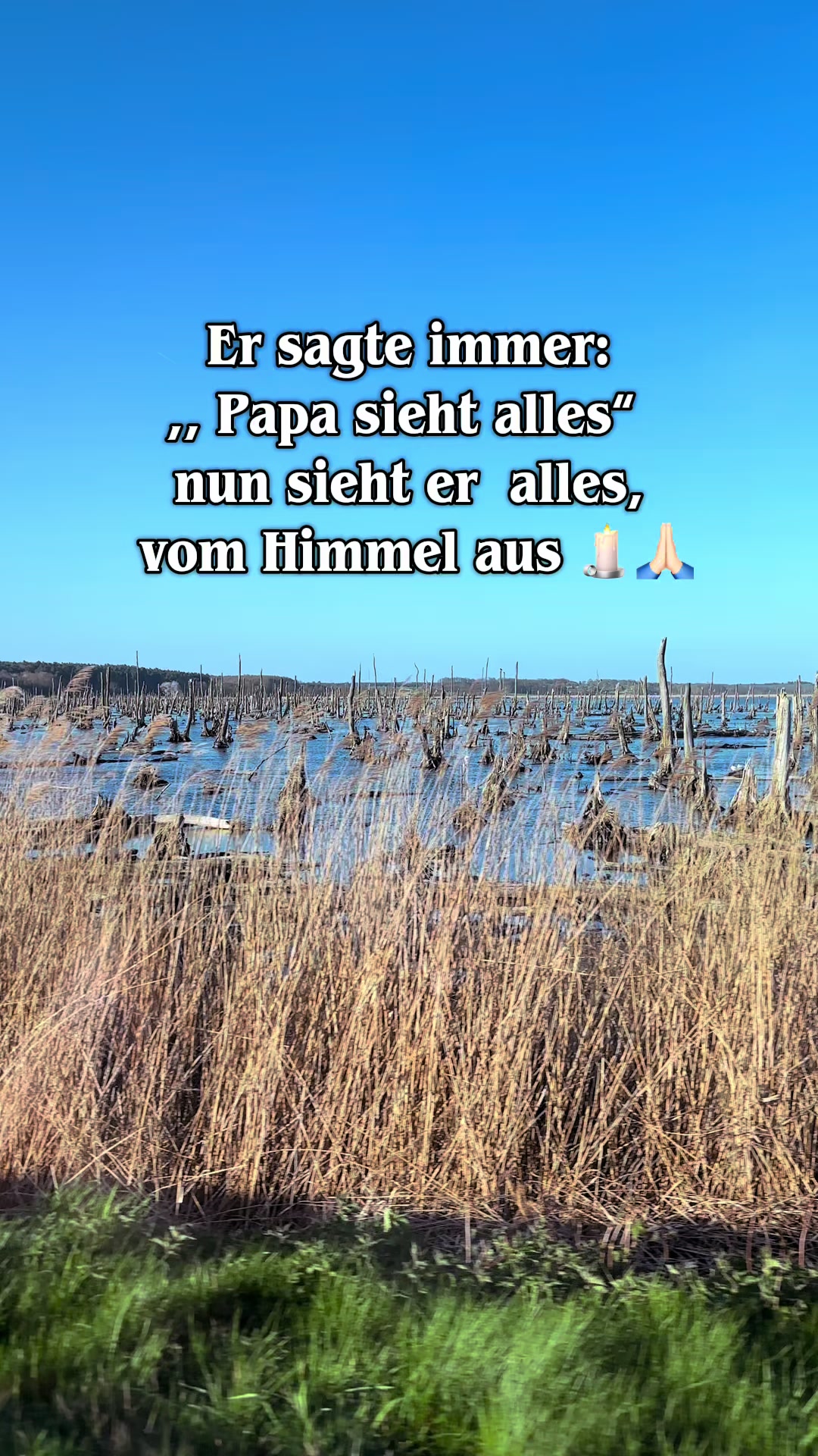@jeannyherbalwitch🦉