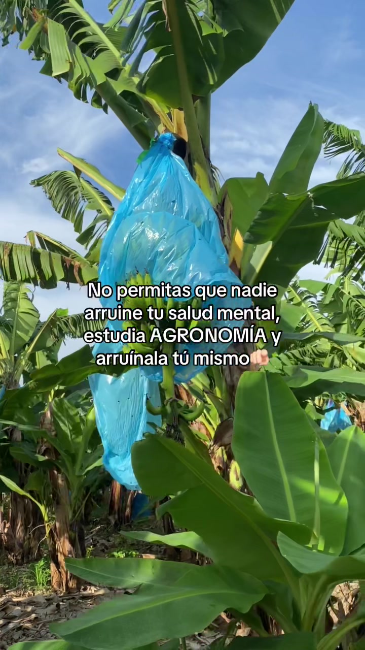 @Mujer Agrícola
