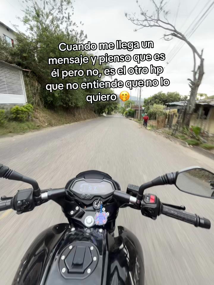 @Ale 🐙