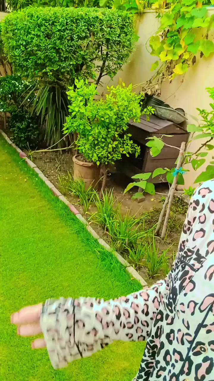 @𝑺𝒊𝒏𝒈𝒆𝒓 𝑺𝒂𝒎🦋