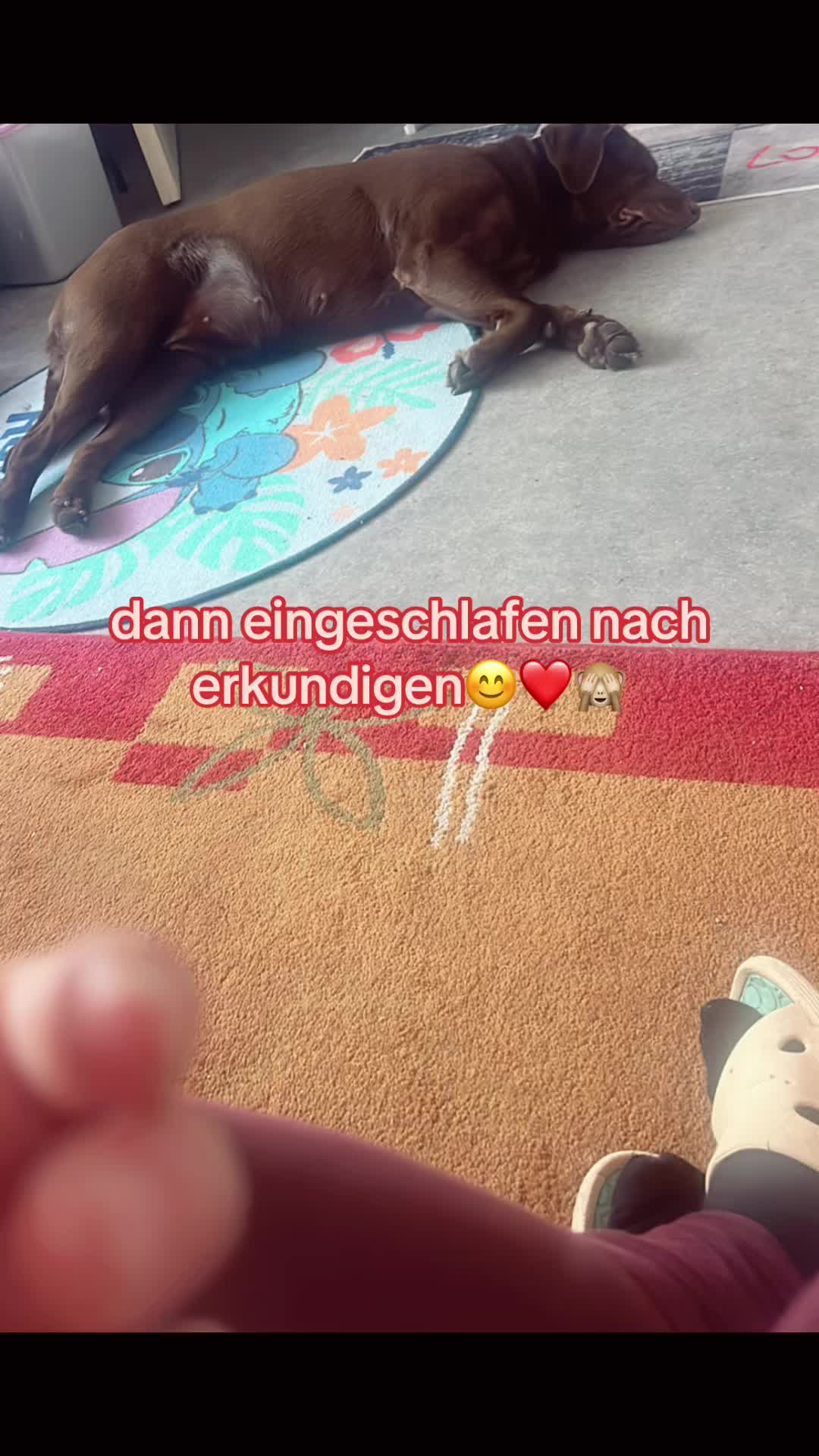 @teamlidialissy