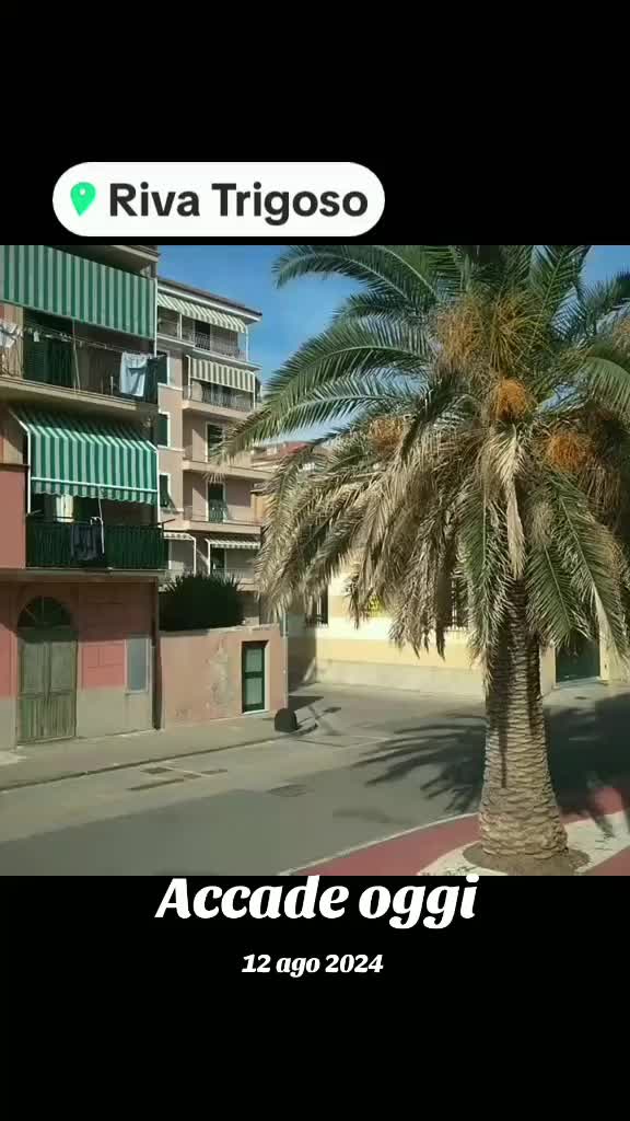 @LA /SO'74 🌞