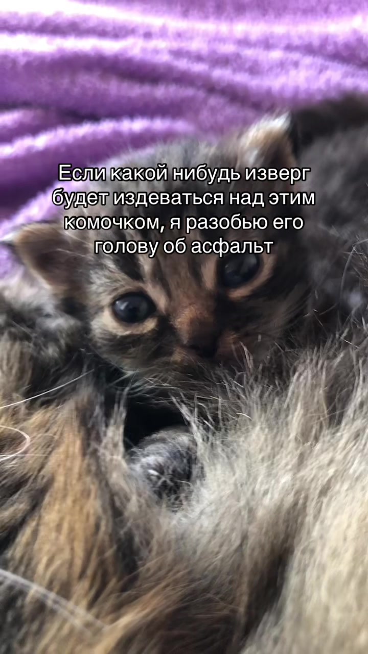 @#вайс