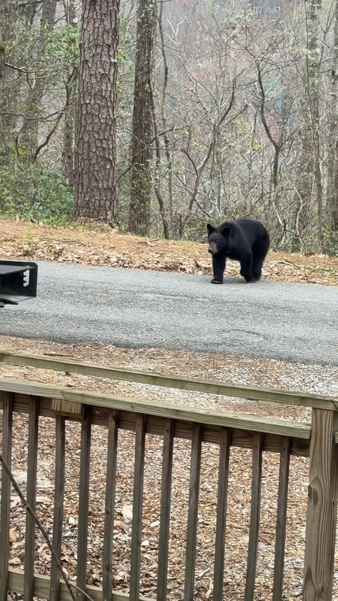 @KelliNovember