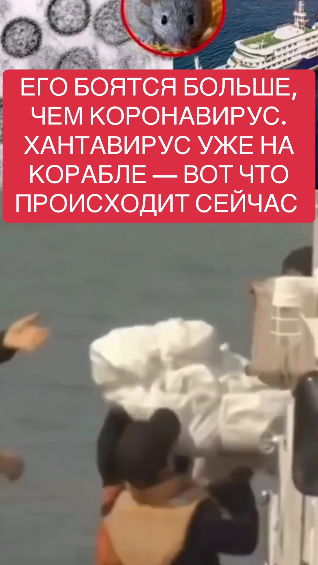 @shoblinskis
