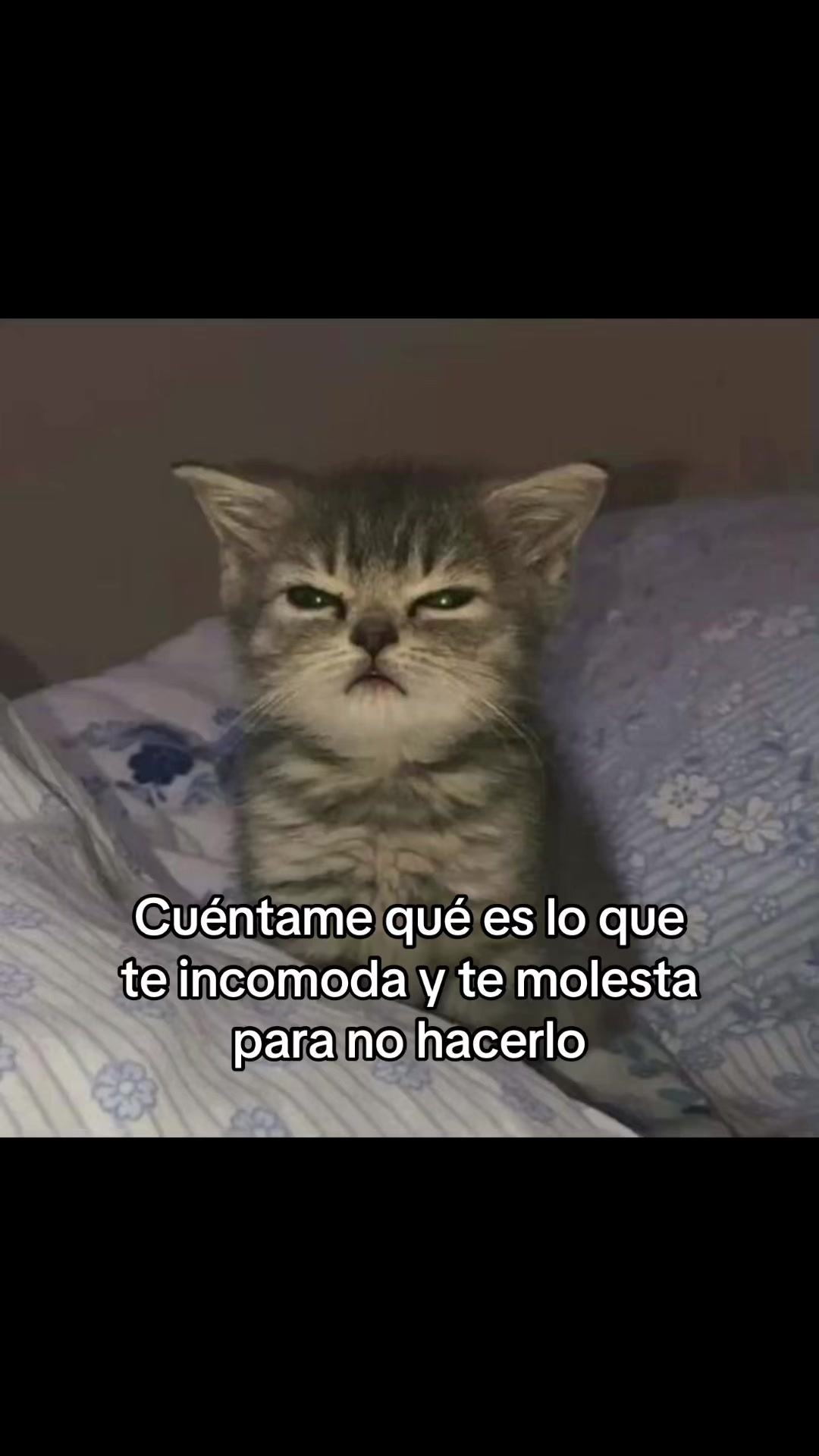 @saulburgosp2.0