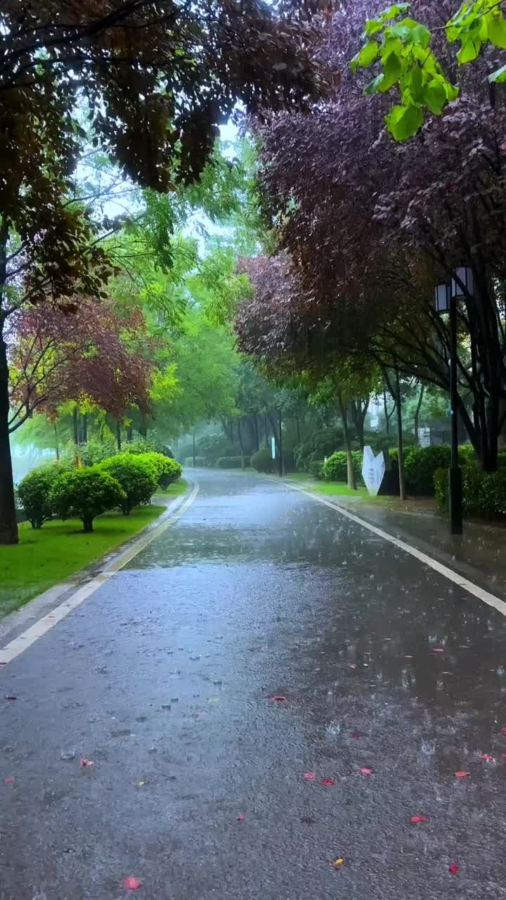 @♣ 𝐵𝓇𝑜𝓀𝑒𝓃 𝒮𝑜𝓊𝓁 ♣