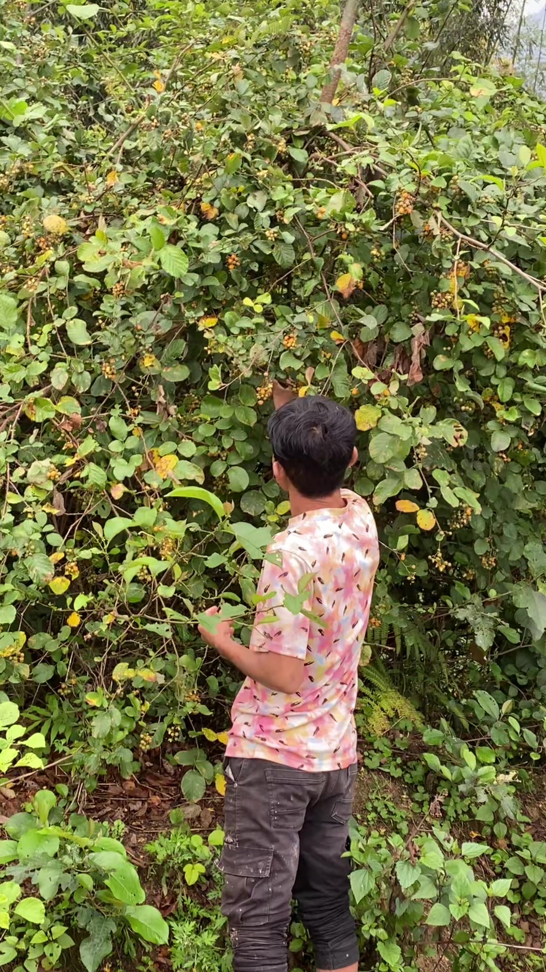 @Abhishek Rai