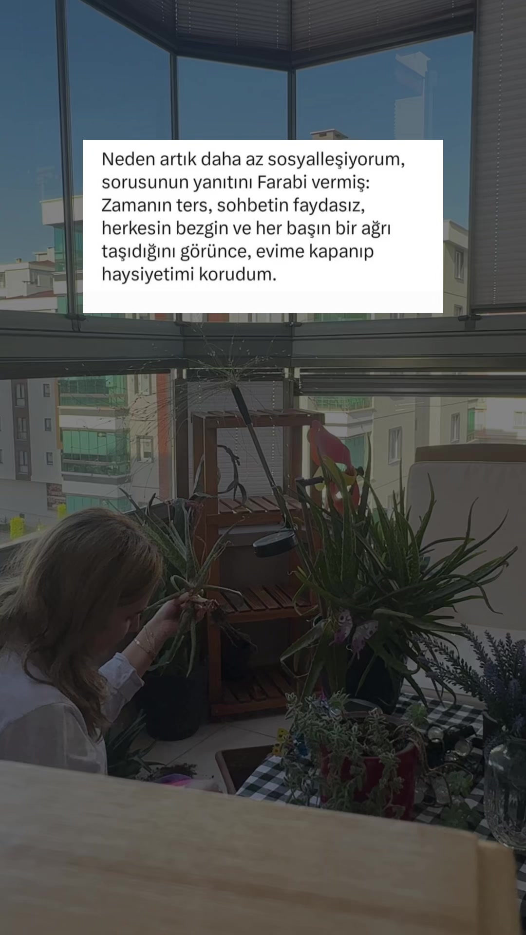 @şy