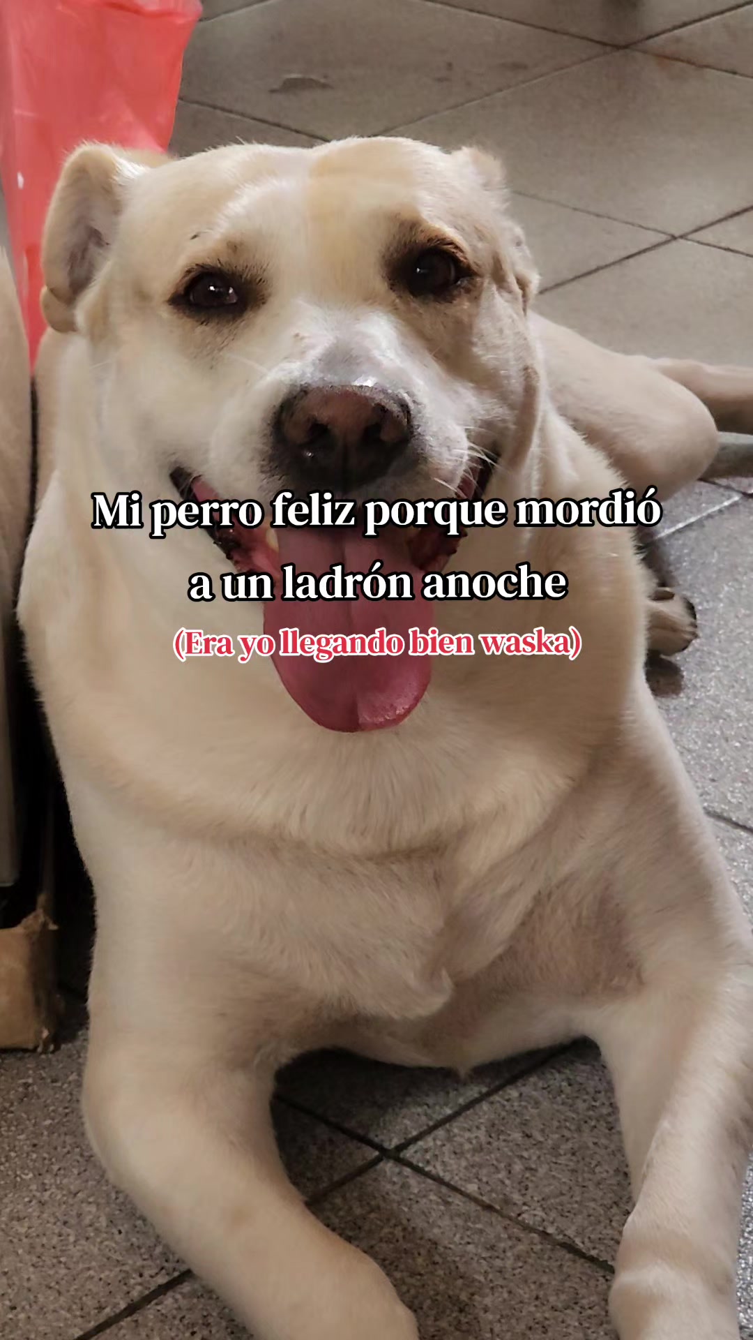 @Aron Castillo