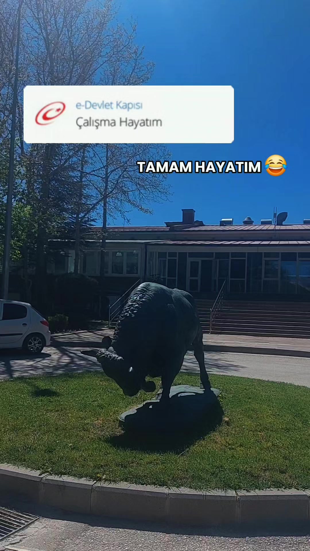 @kerim