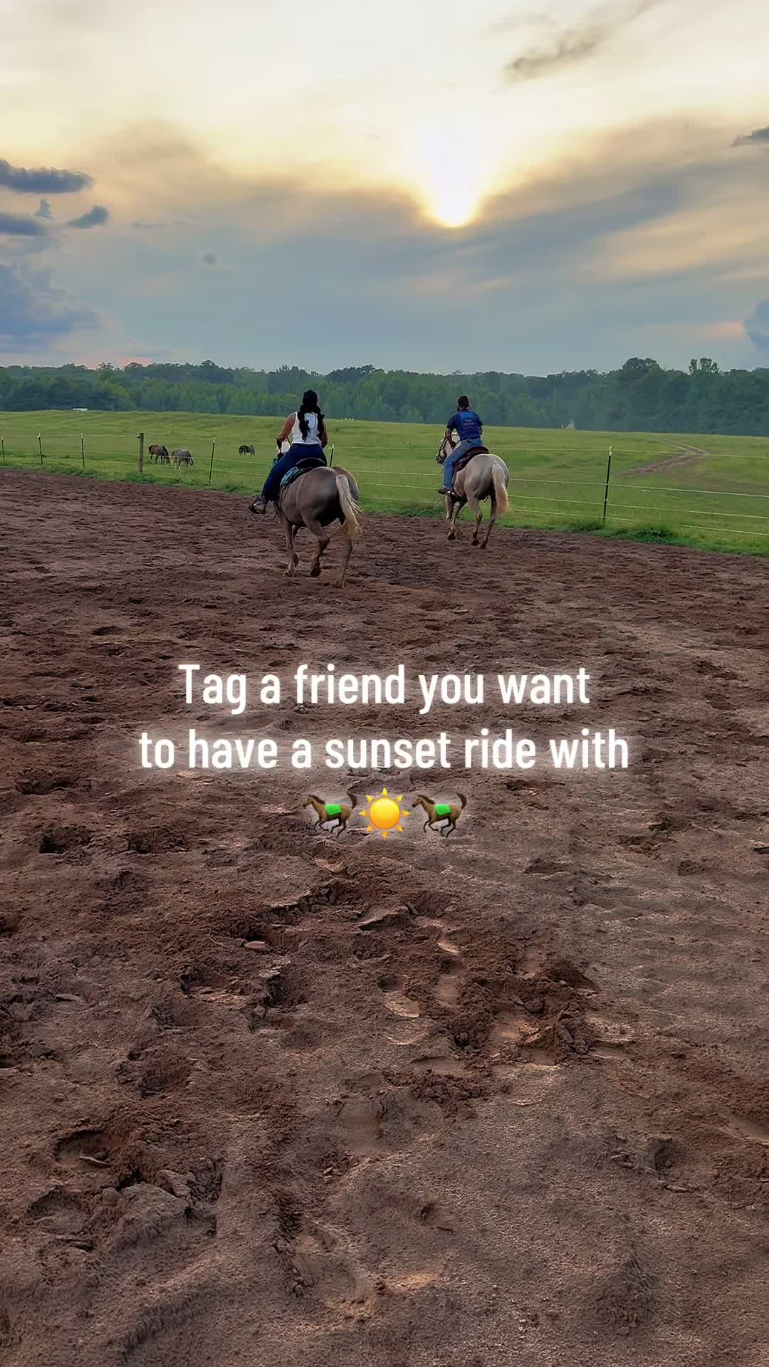 @Rogue Reins
