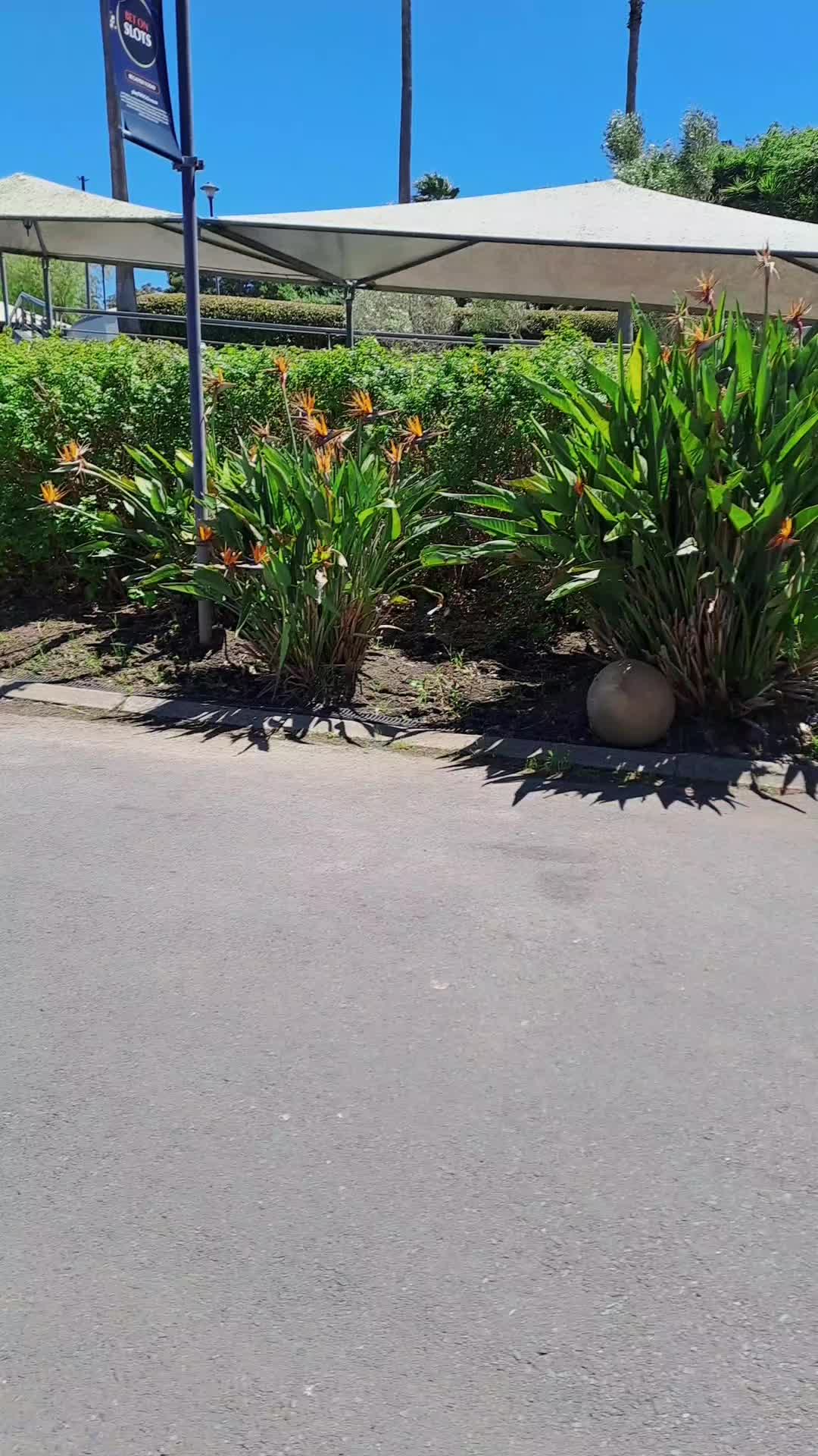 @MizzE❤️&zwj;🔥