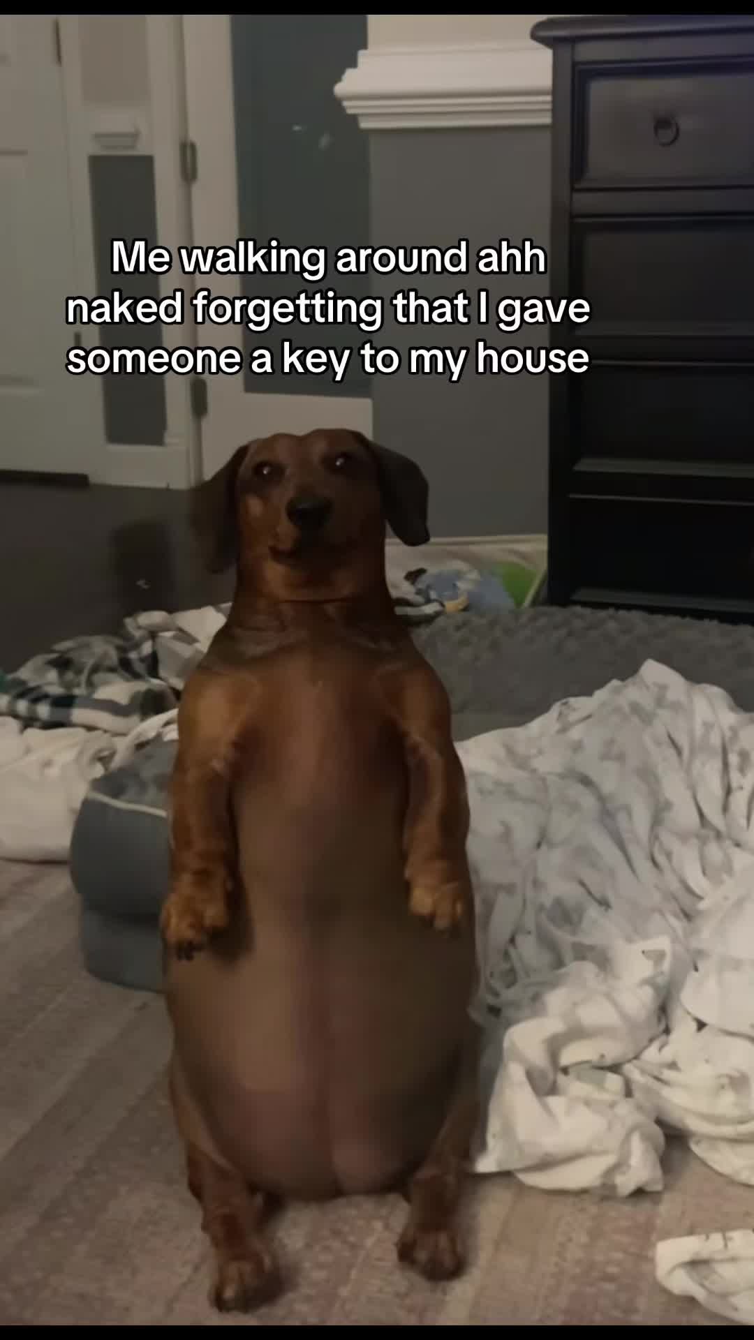 @EJ🧸