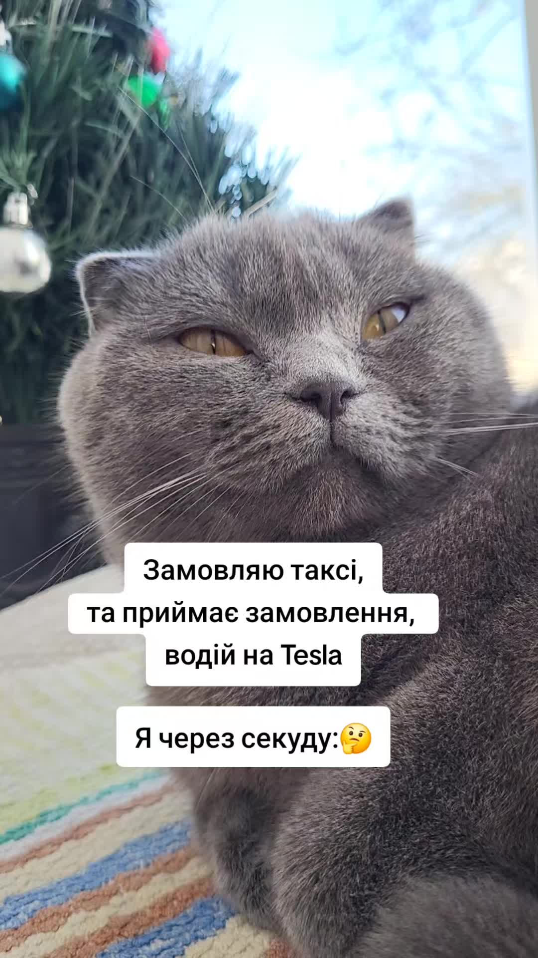@Zorka