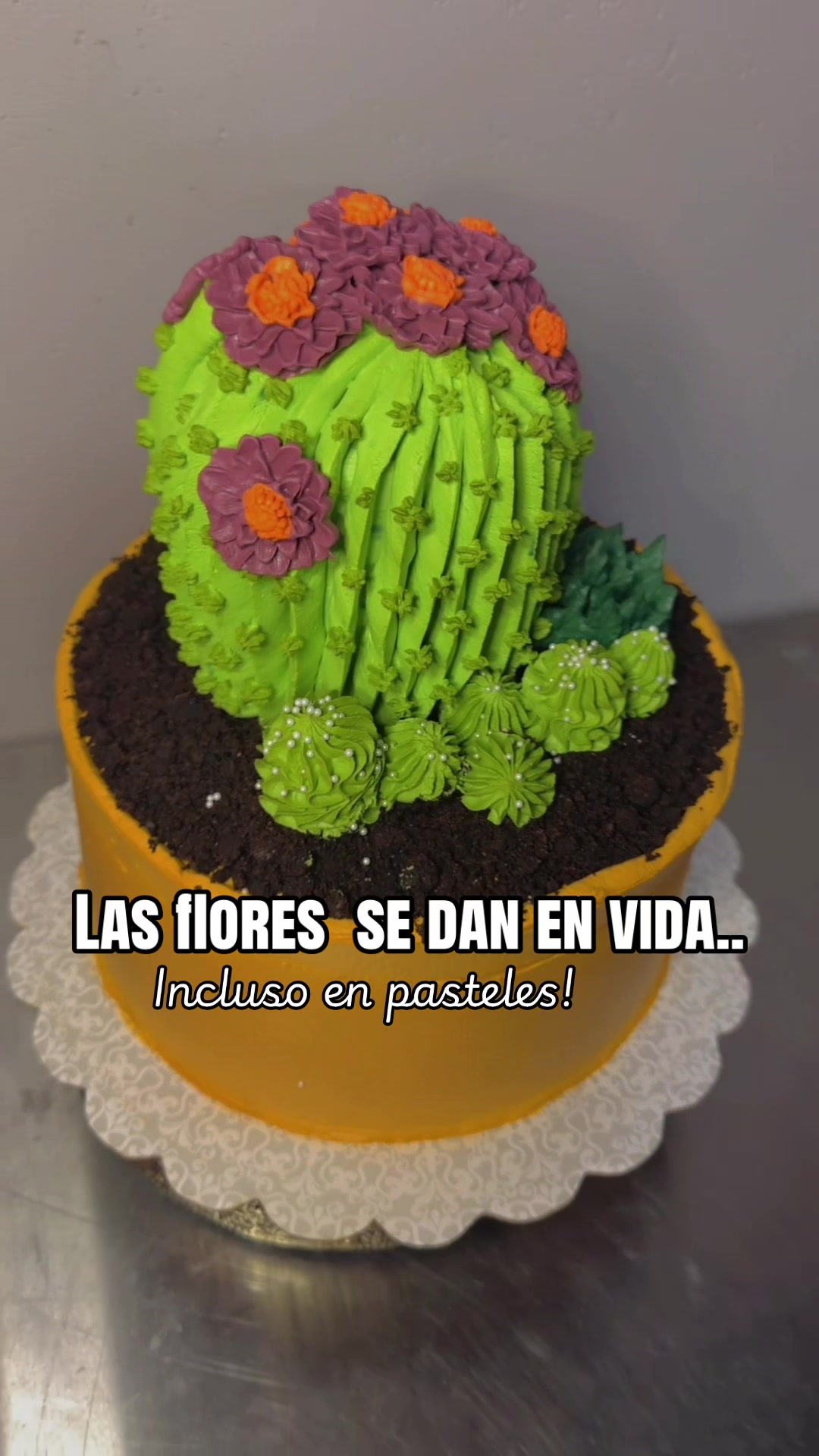 @BlossomCakes 🎂🧁