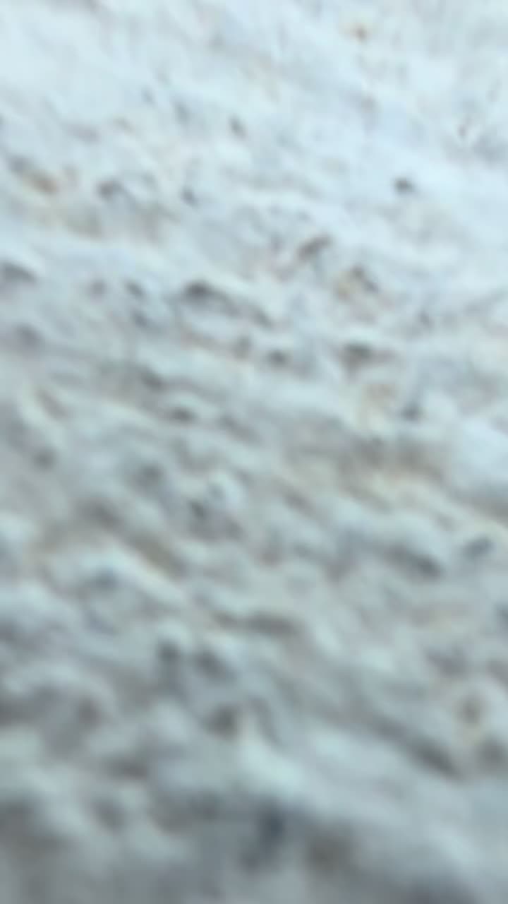@Cammilaa