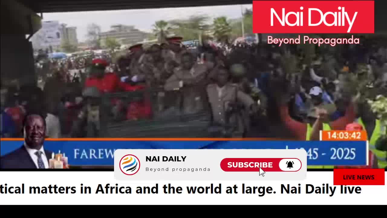 @Nai Daily