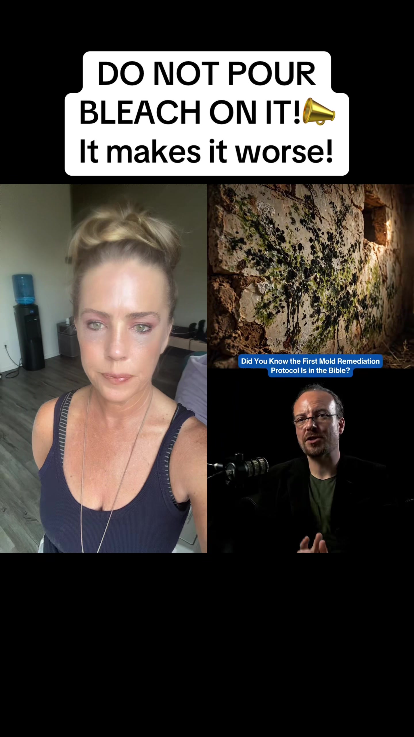 @SoulSirenSomatics