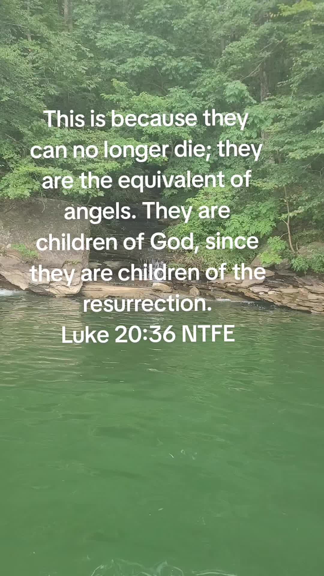 @Michael - The Fools For Christ