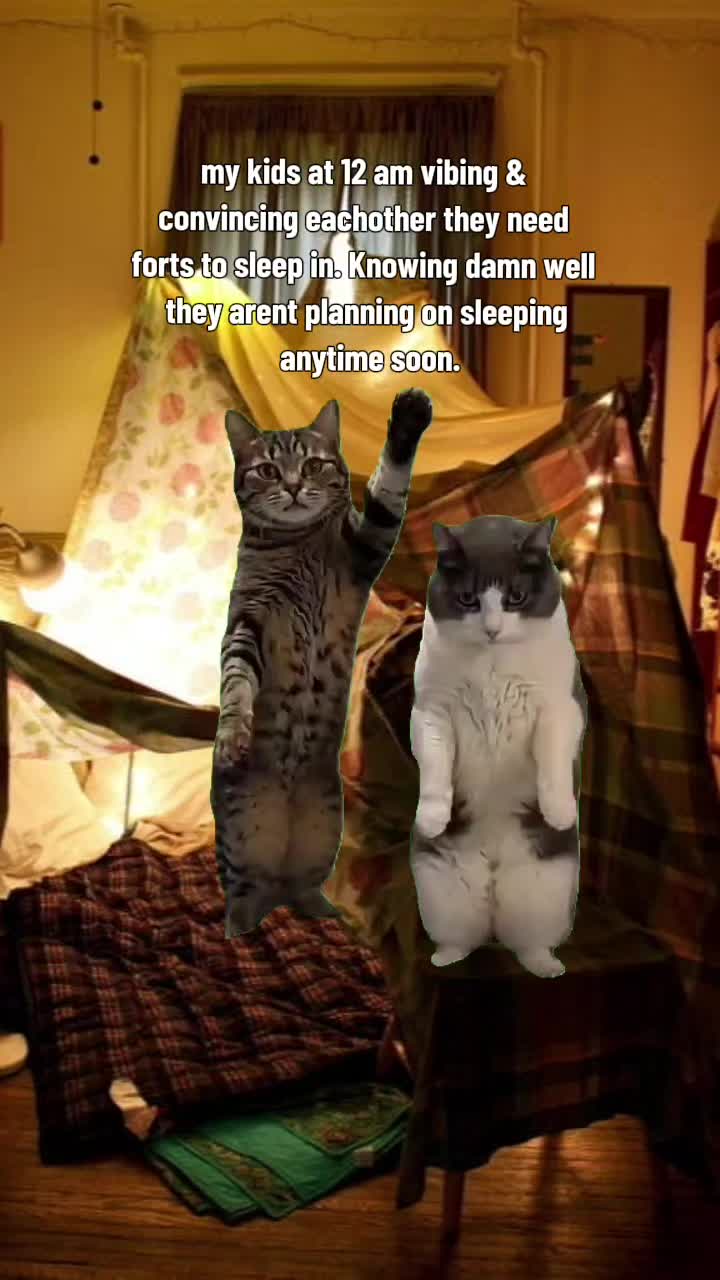 @๐๐.๐
๐๐๐๐๐ฆโจ๏ธ