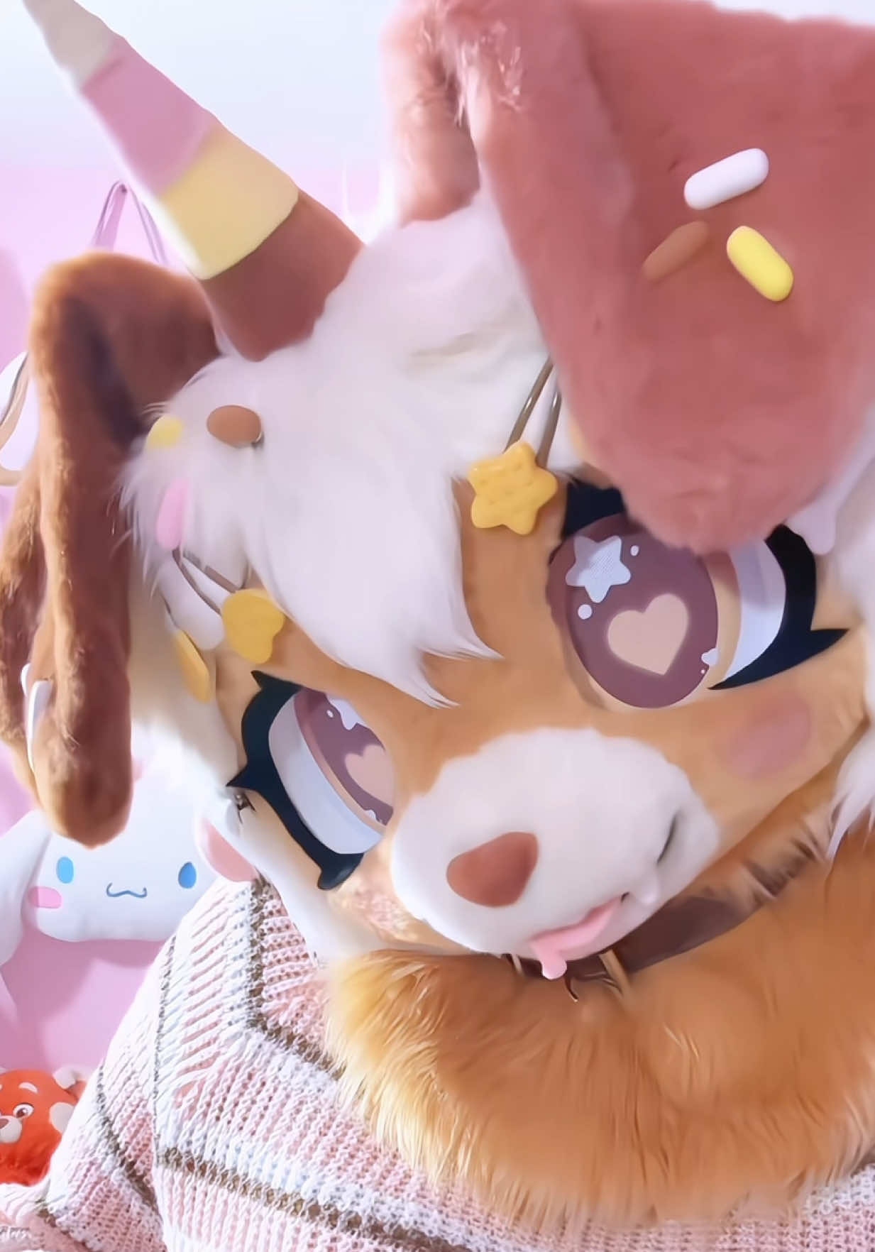 @๐ฆด๐พ๐ฎ๐ shy ๐๐ฎ๐พ๐ฆด