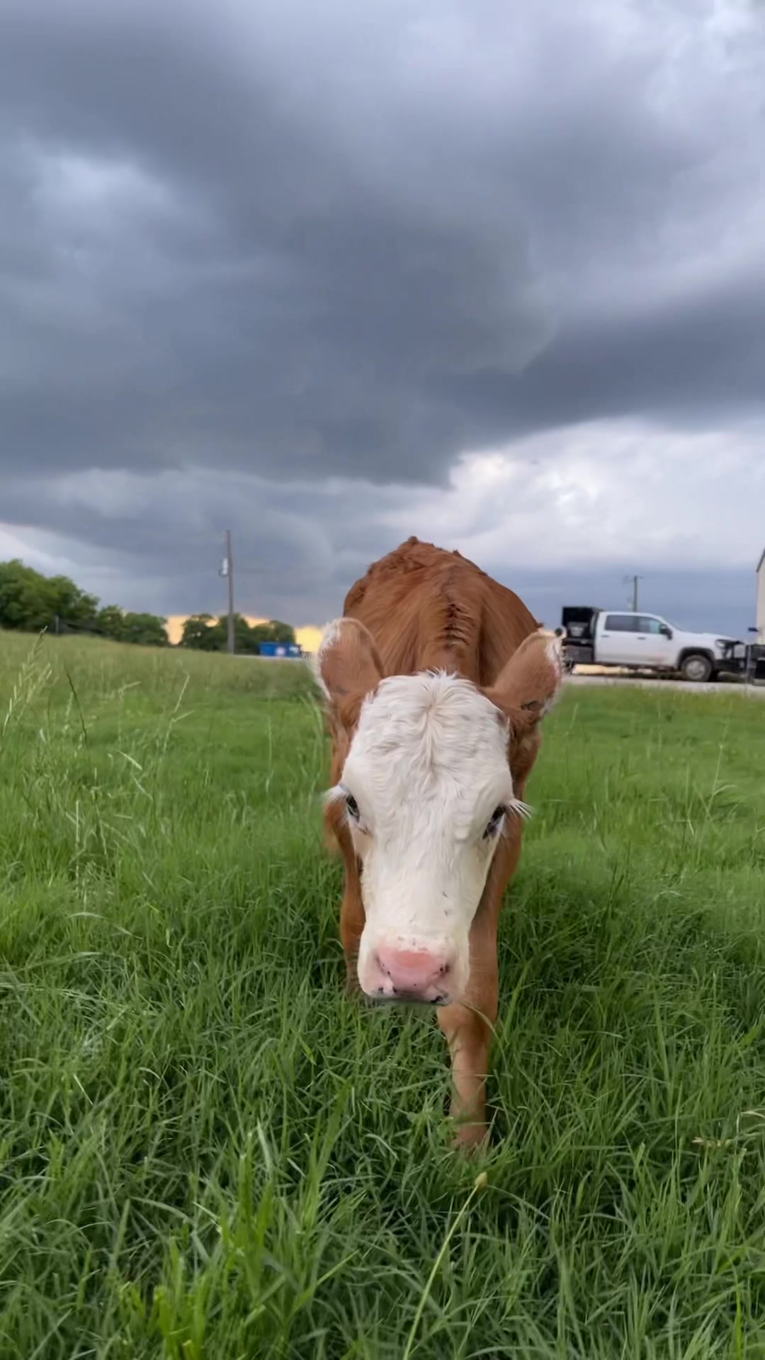@The Farm Guy