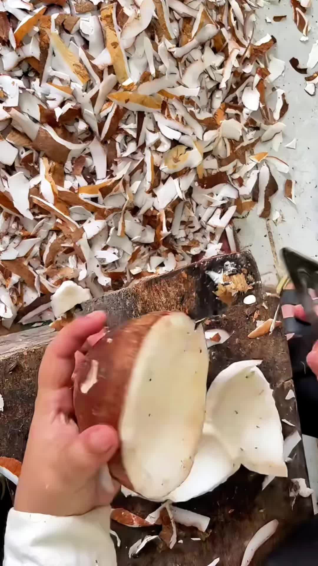 @H0a3